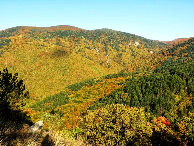 Маршрути по следите на есенните листа - Есен при крепостта Цепина