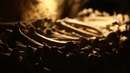 Зловеща разходка из парижките катакомби