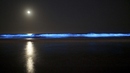 5 места, където водата свети нощем - Сан Диего, САЩ