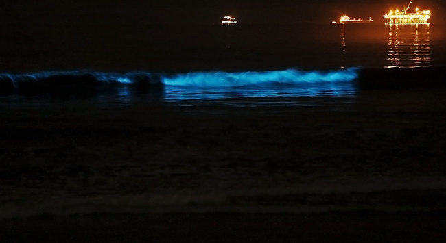 5 места, където водата свети нощем - Гребенът на вълната в Сийл Бийч