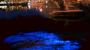 5 места, където водата свети нощем - Пристанището на Зеебрюге