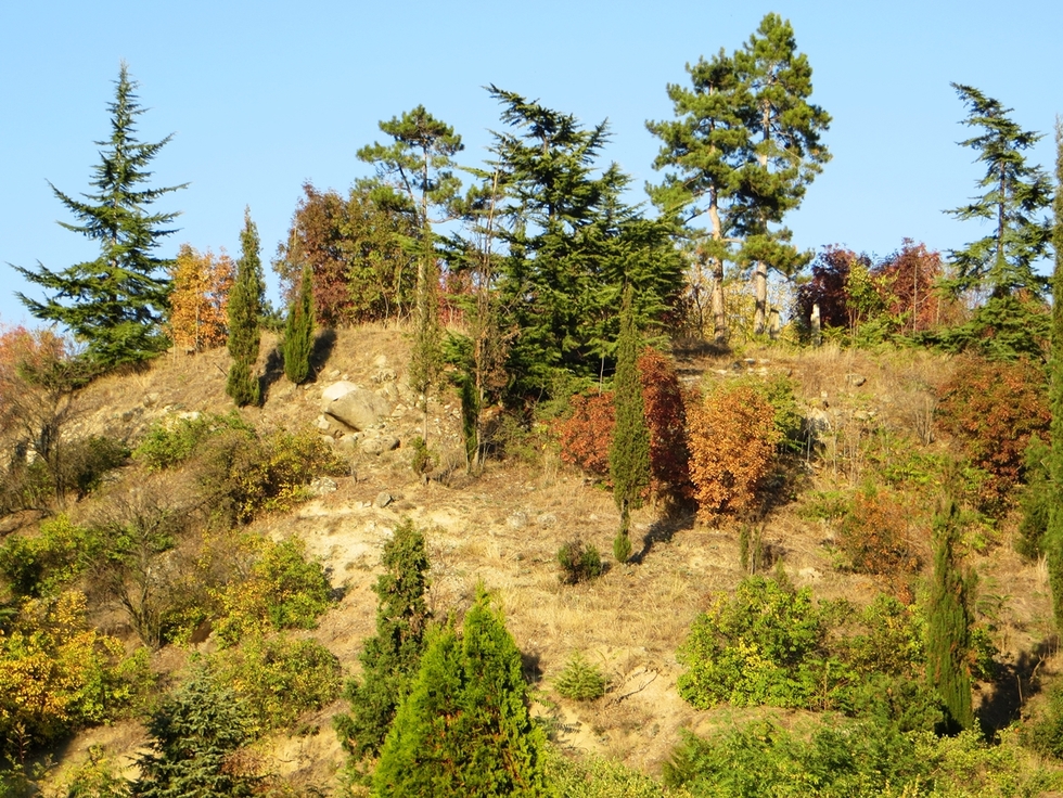 Удивителната есен в Югозападна България - Хълм в Сандански