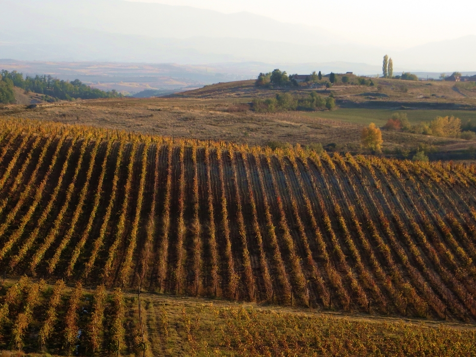 Удивителната есен в Югозападна България - Тоскански пейзаж край Вила Мелник, с. Хърсово