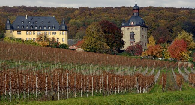 Райнгау - германско вино, родено от един каприз