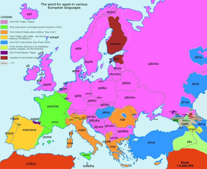 8 забавни карти на думите в Европа
