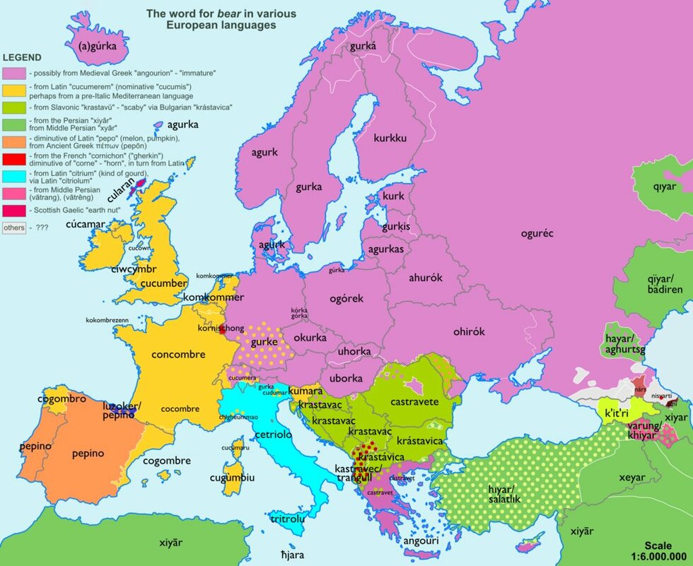 8 забавни карти на думите в Европа - Краставица