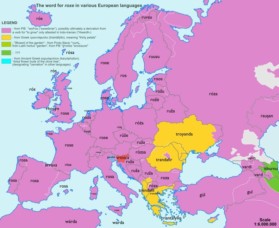 8 забавни карти на думите в Европа - Роза