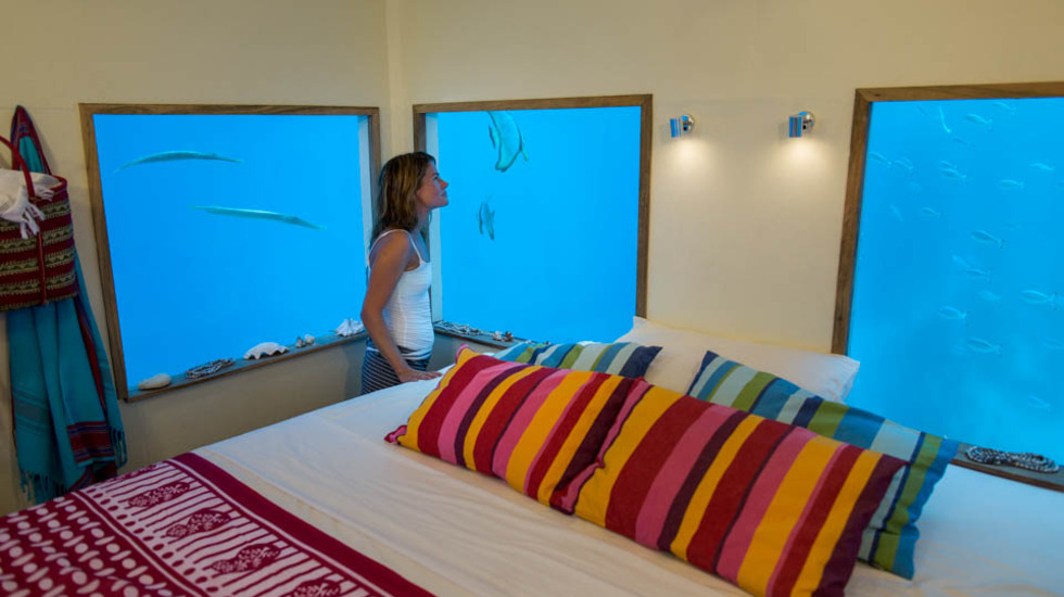 Гледка от хотелската стая: морското дъно - Manta Resort - Занзибар