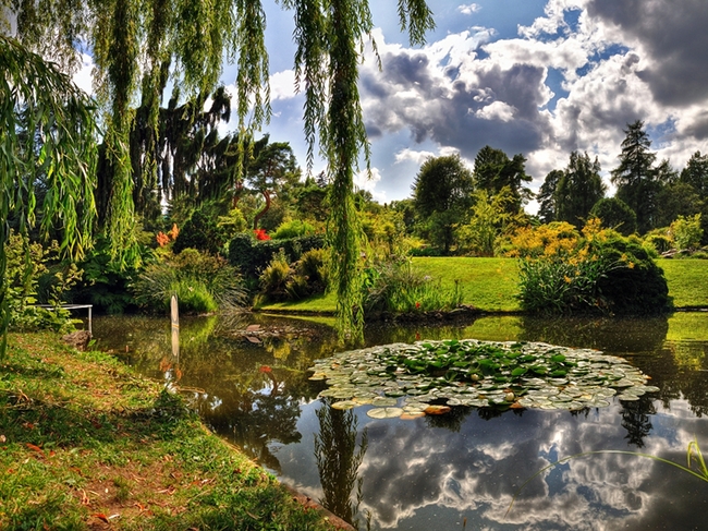 Женева – забележителности за един уикенд - Ботаническата градина
