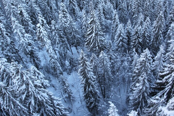 България ще очаква тази зима над 1,7 млн. чуждестранни туристи