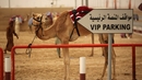 10 неочаквани снимки на камили - Камилите плюят