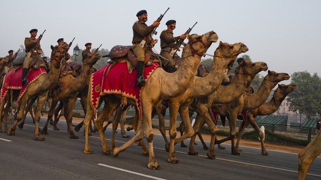 10 неочаквани снимки на камили - Част от индийската армия