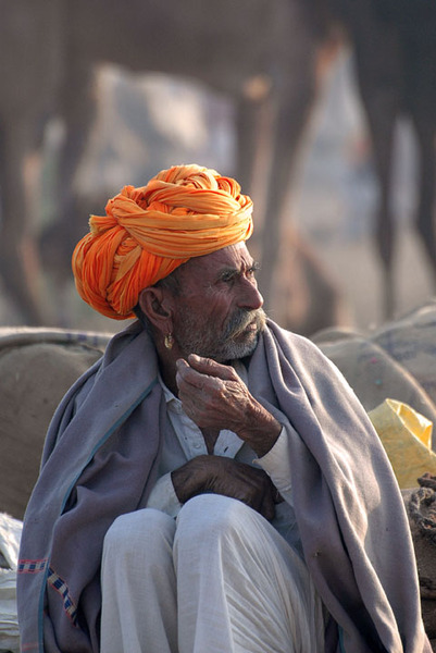 Пушкар – Индия, камили и едно свещено езеро