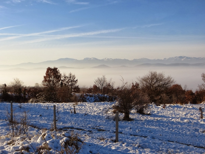 20 прекрасни зимни снимки от България