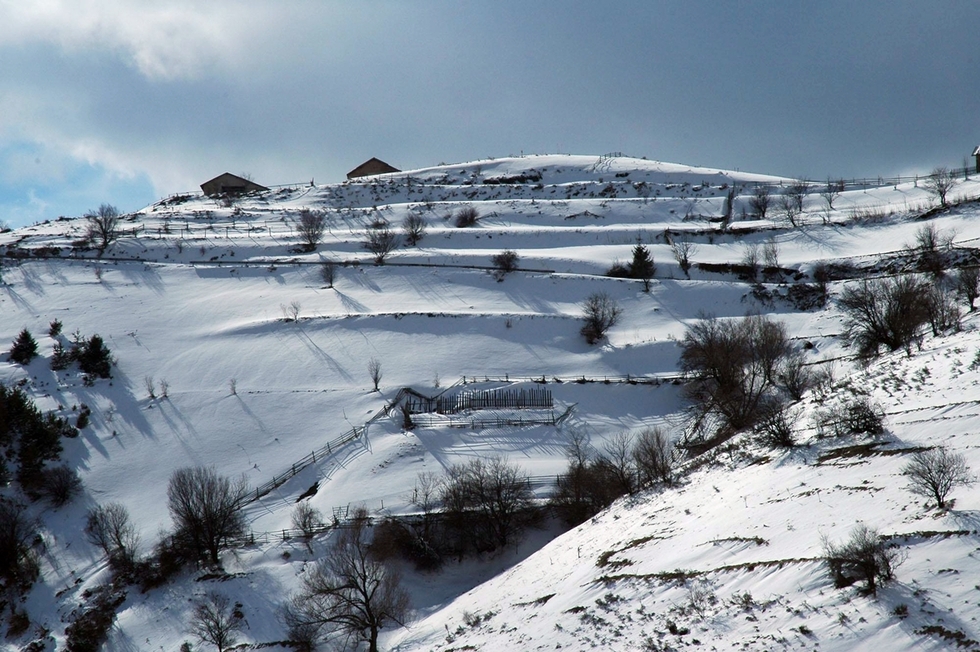 20 прекрасни зимни снимки от България - Чепеларе