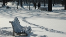 20 прекрасни зимни снимки от България - Парк в София