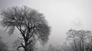 20 прекрасни зимни снимки от България - Мъгла край село Саранци