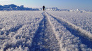 118 дни пеш през Северния полюс