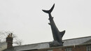 Фото сряда: 10 статуи отвъд границите на абсурда - Къде е акулата в Оксфорд?