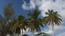 Мечти посред бял ден - 20 плажа като от картичка - Джорджтаун, Кайманови острови