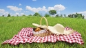 5 интересни идеи за пикник