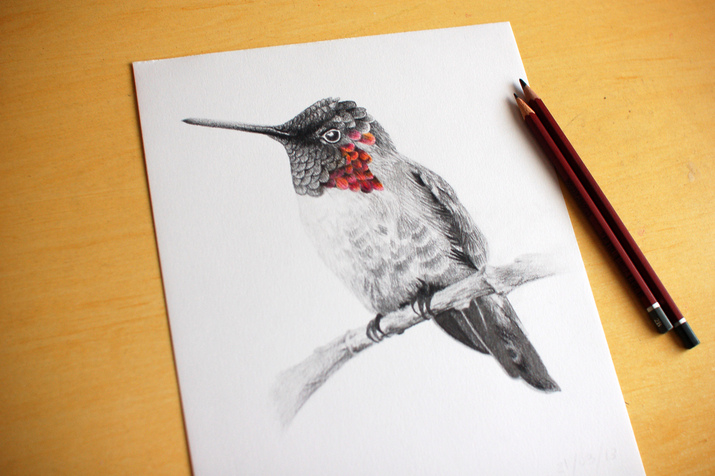 Днес нарисувайте птица