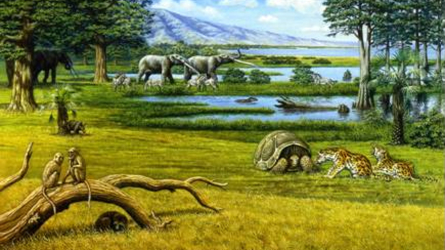 Проф. Николай Спасов за България преди 5 милиона години