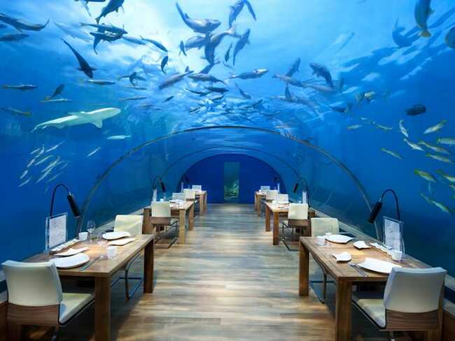 Да вечеряш под водата, в Индийския океан