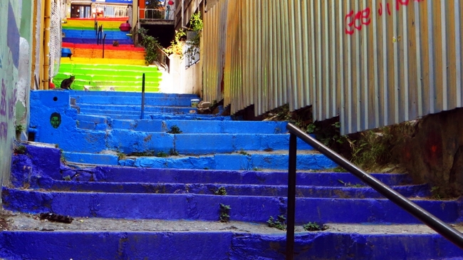 Цветните стълби в Истанбул - една трогателна история
