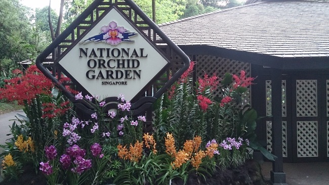 Домът на орхидеите в Сингапур