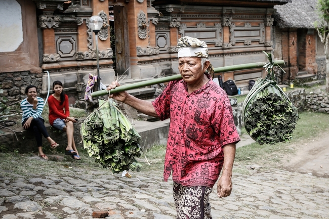 Боят с трънливи храсти от остров Бали (фоторазказ) - Оръжието