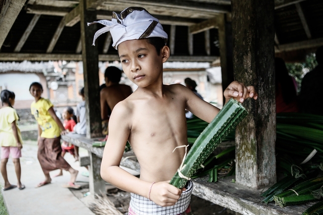 Боят с трънливи храсти от остров Бали (фоторазказ) - Подготовката