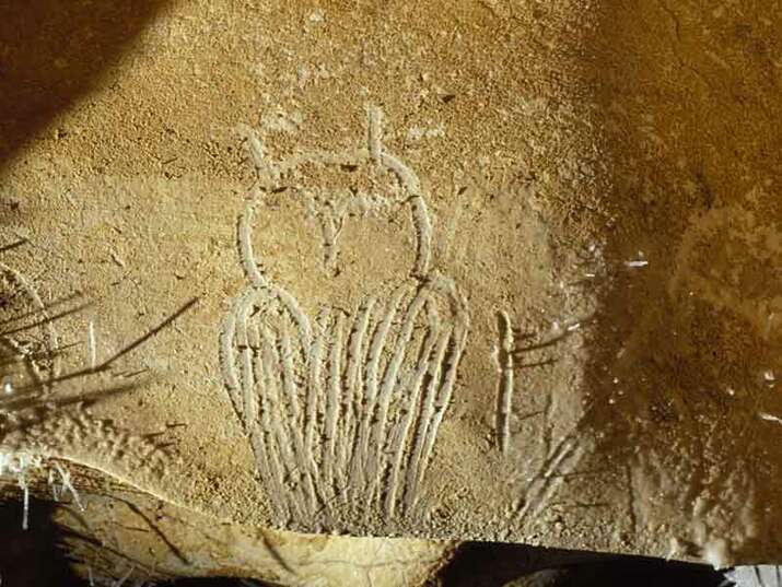 Пещерата Шове и най-старите пещерни рисунки в света