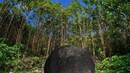 Новите обекти на ЮНЕСКО по света – 2014 - Каменните сфери в Коста Рика