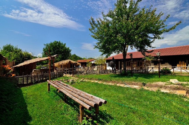 Неолитно селище в село Неофит Рилски