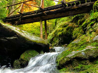 Каньонът на водопадите – магията на Родопите, която шепти с гласа на водата