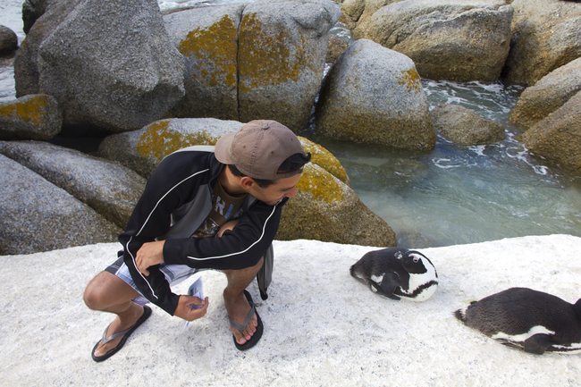 По пътищата на планетата с Норбърт - С пингвини в Кейптаун