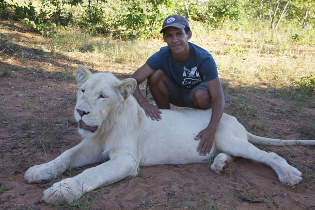 По пътищата на планетата с Норбърт - Бяла лъвица в Замбия