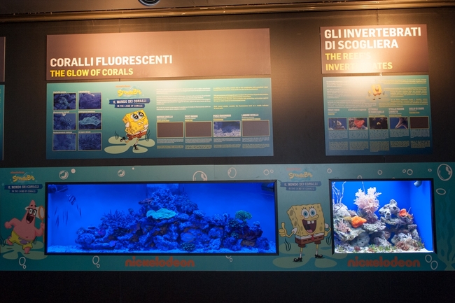 Аквариумът в Генуа – (под)водно пътешествие
