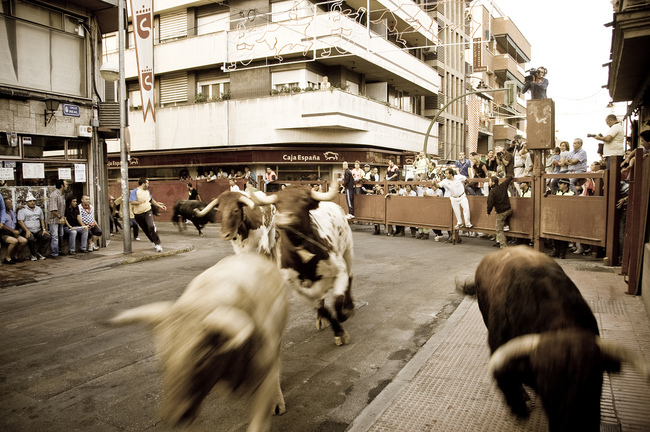7 неща, които да знаете за бягането от бикове в Памплона
