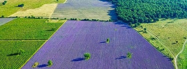 За фотографията като начин на живот
