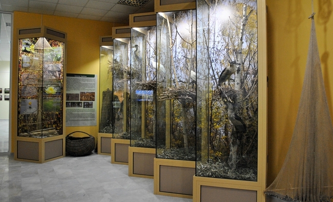 Три по-различни музея, които да посетите в Русе