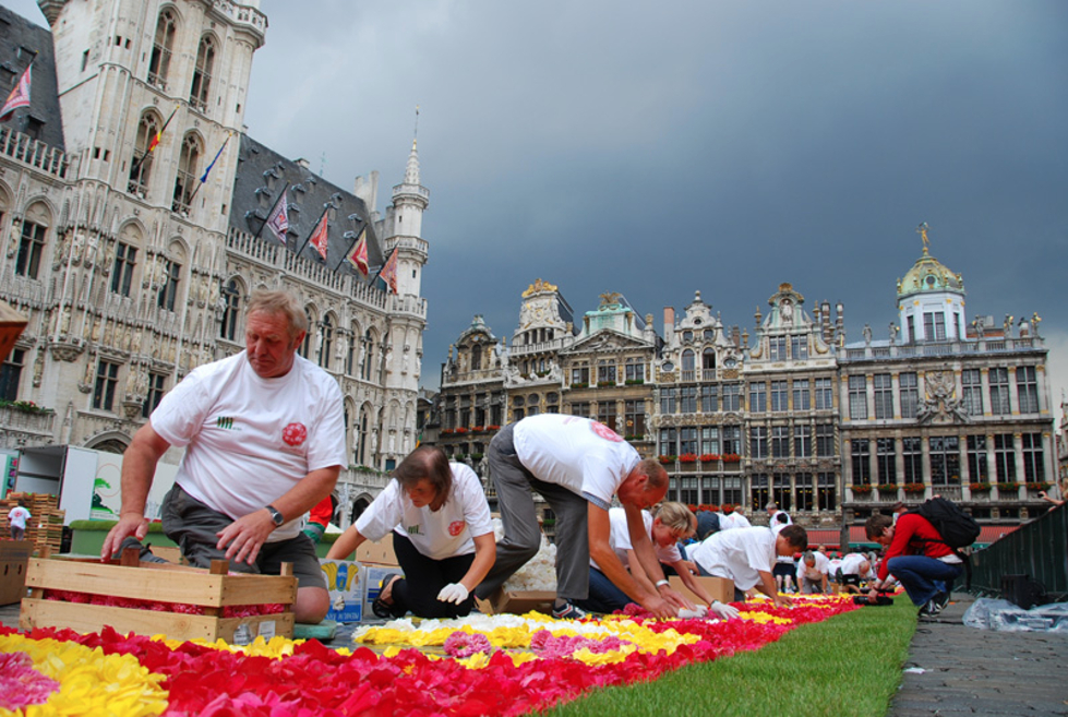 Африкански килим от цветя в Брюксел - Доброволци подреждат цветята - 2010