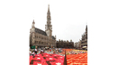 Африкански килим от цветя в Брюксел - Африкански мотиви - 2012