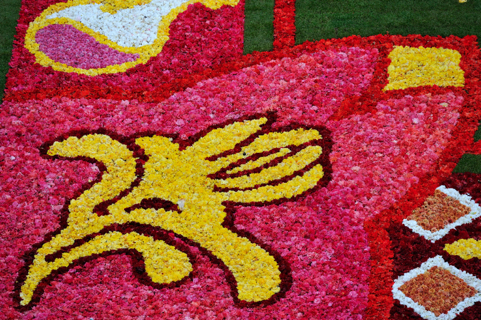 Африкански килим от цветя в Брюксел - Детайл от изящните шарки на килима - 2010