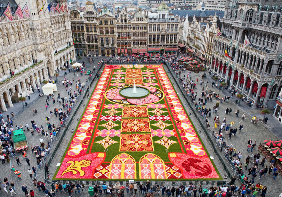 Африкански килим от цветя в Брюксел - Килимът през 2010 г.