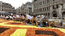 Африкански килим от цветя в Брюксел - И малки, и големи участват - 2012