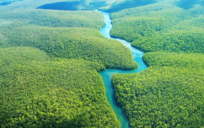 Нов национален парк пази джунглите на Амазония