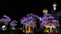 Дубай: Магическата градина, която свети в мрака