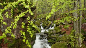 Чипровски водопад и екопътека Деяница